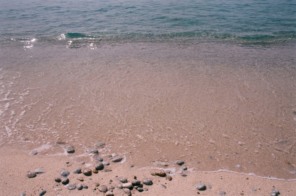 brown sand near body of water during daytime