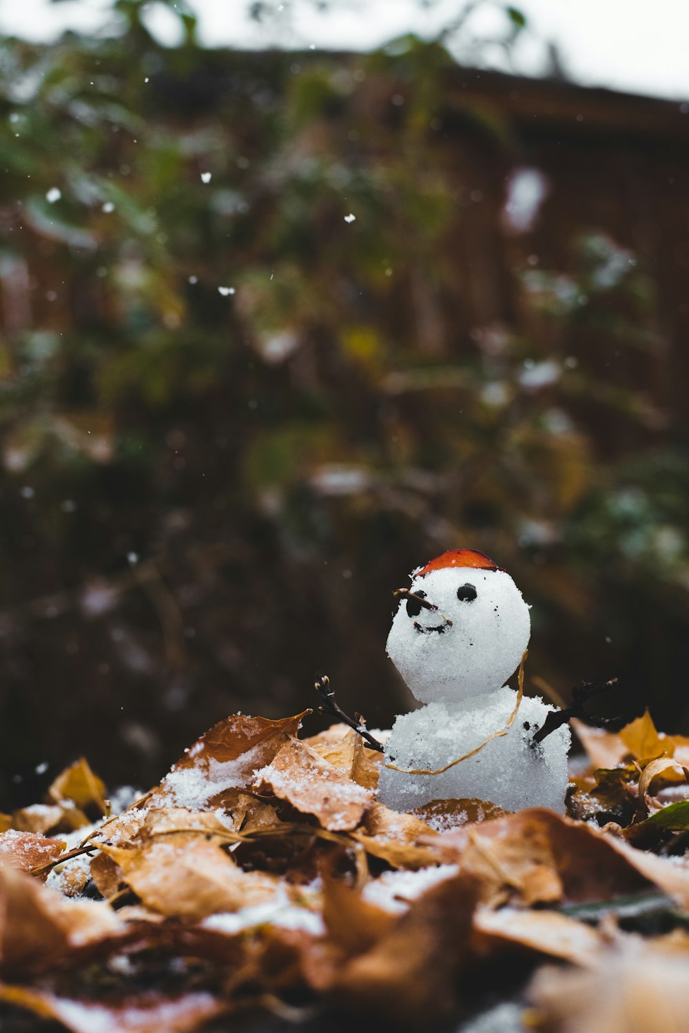 pupazzo di neve su foglie secche marroni