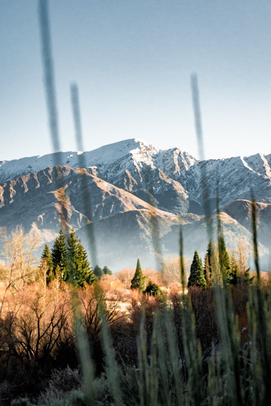 green trees near mountain during daytime in Arrowtown New Zealand