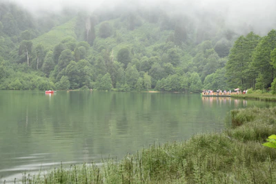 A serene view of Müritz lakes with a small group practicing conversational learning.