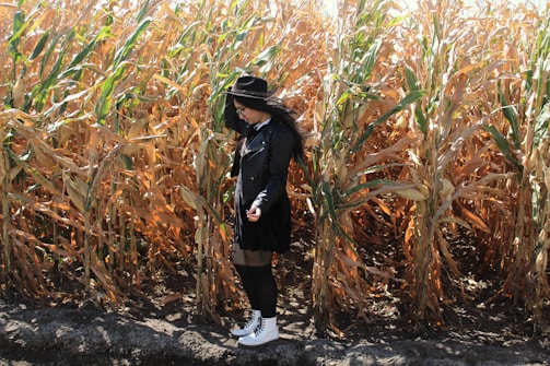 A person wearing a black coat, black hat, and white boots stands in front of a field of corn plants with dry leaves. The corn stalks are tall and golden, indicating harvest season.