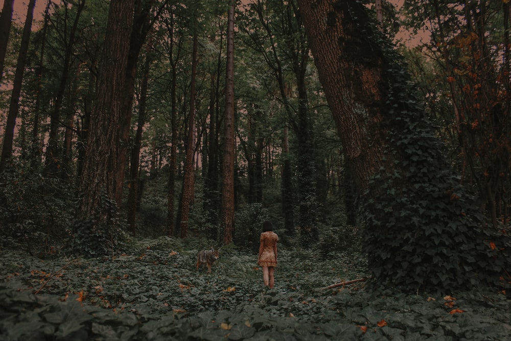 person in brown jacket walking on forest during daytime