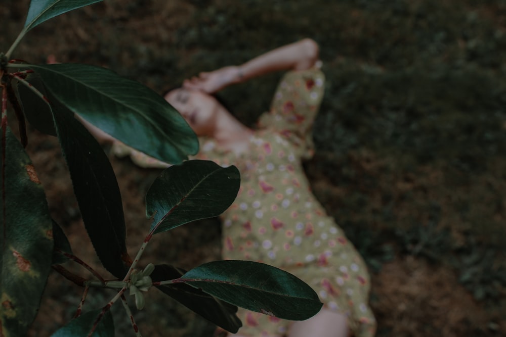 person holding green leaf during daytime