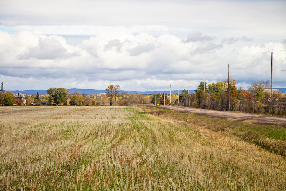 green grass field under white clouds during daytime