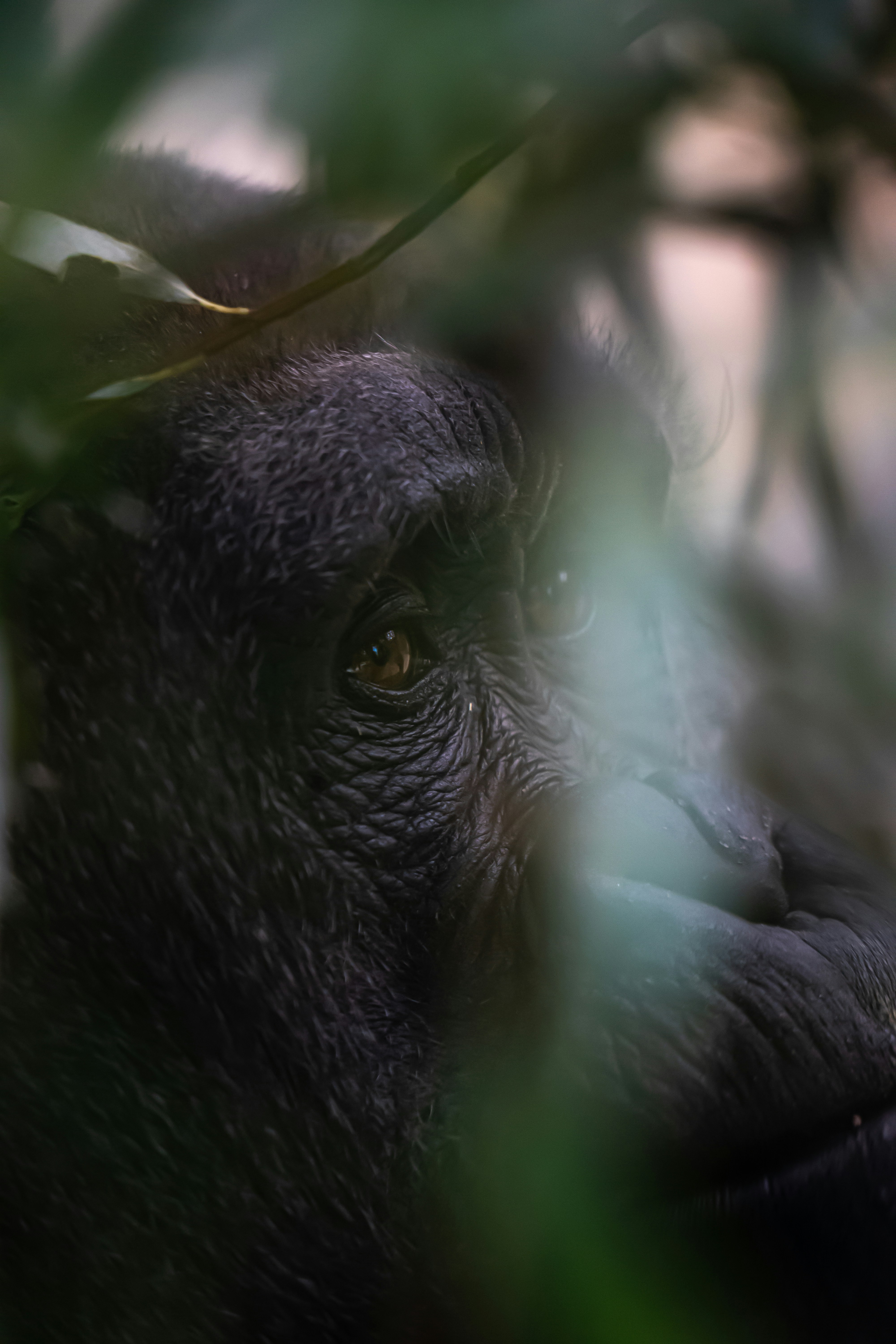 Photo by arne_verbist