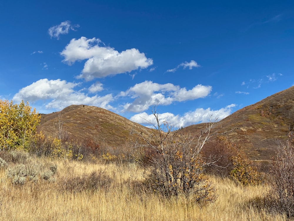 brown grass field near brown mountain under blue sky during daytime