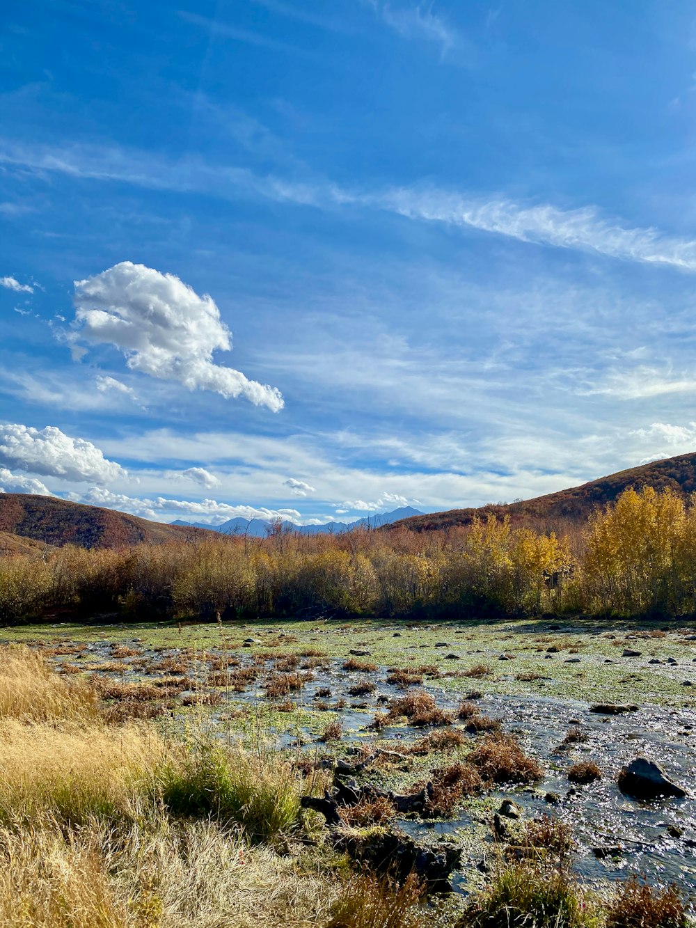 brown grass field near brown mountain under blue sky during daytime