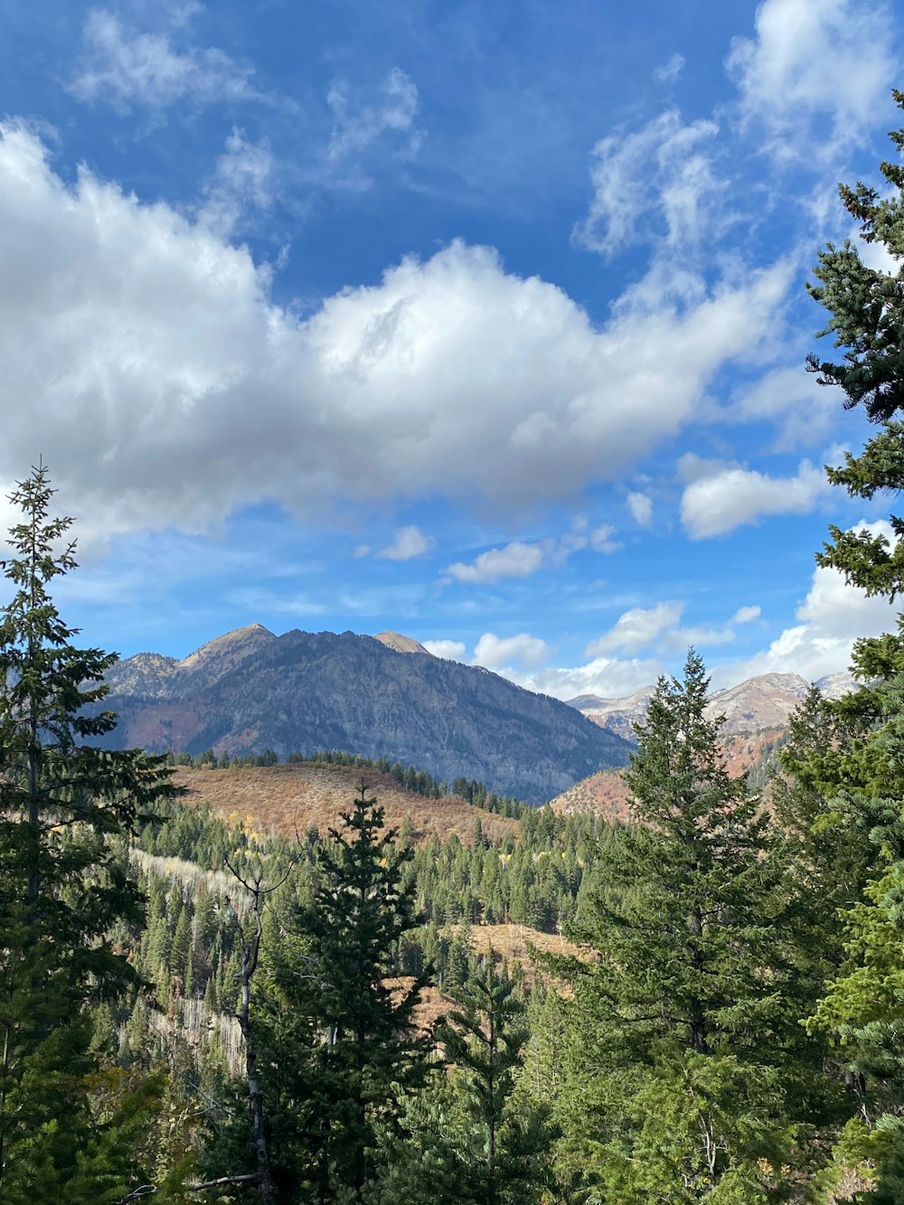 green trees and mountains under blue sky and white clouds during daytime