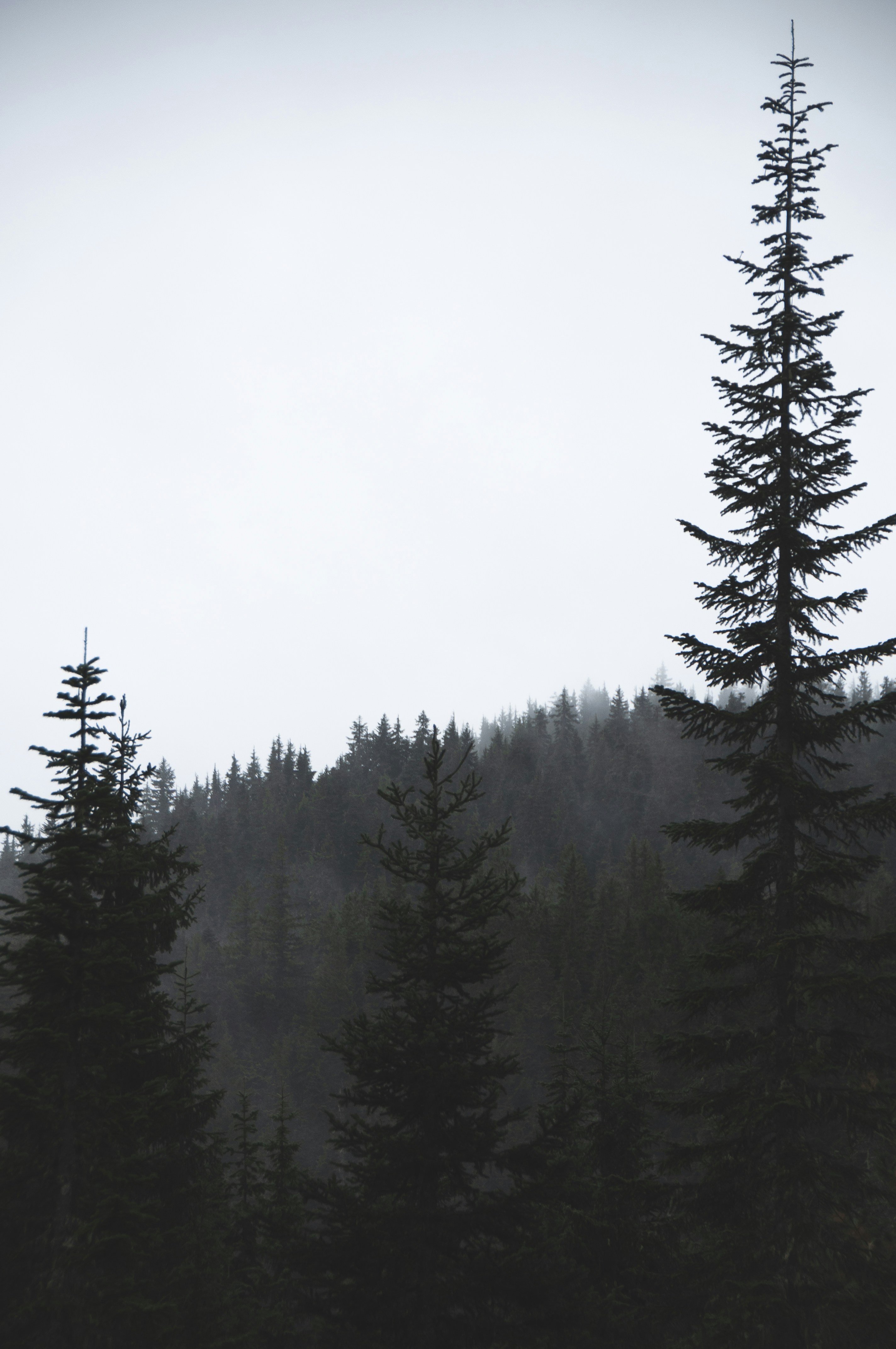 Photo by ben_vaughn_189