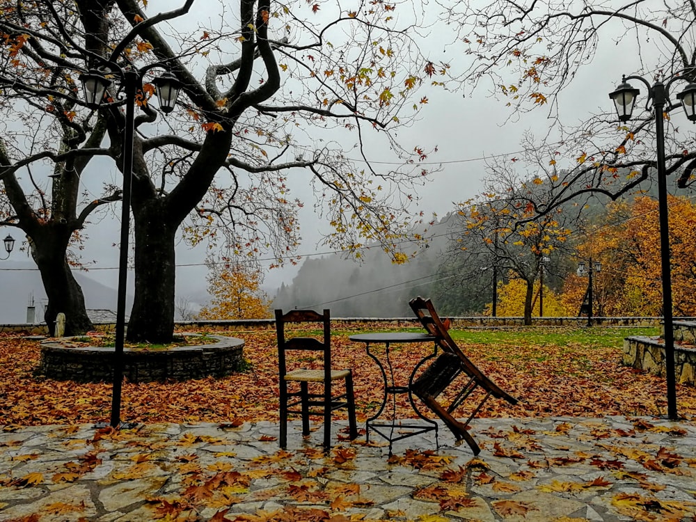 brown wooden bench on green grass field during daytime