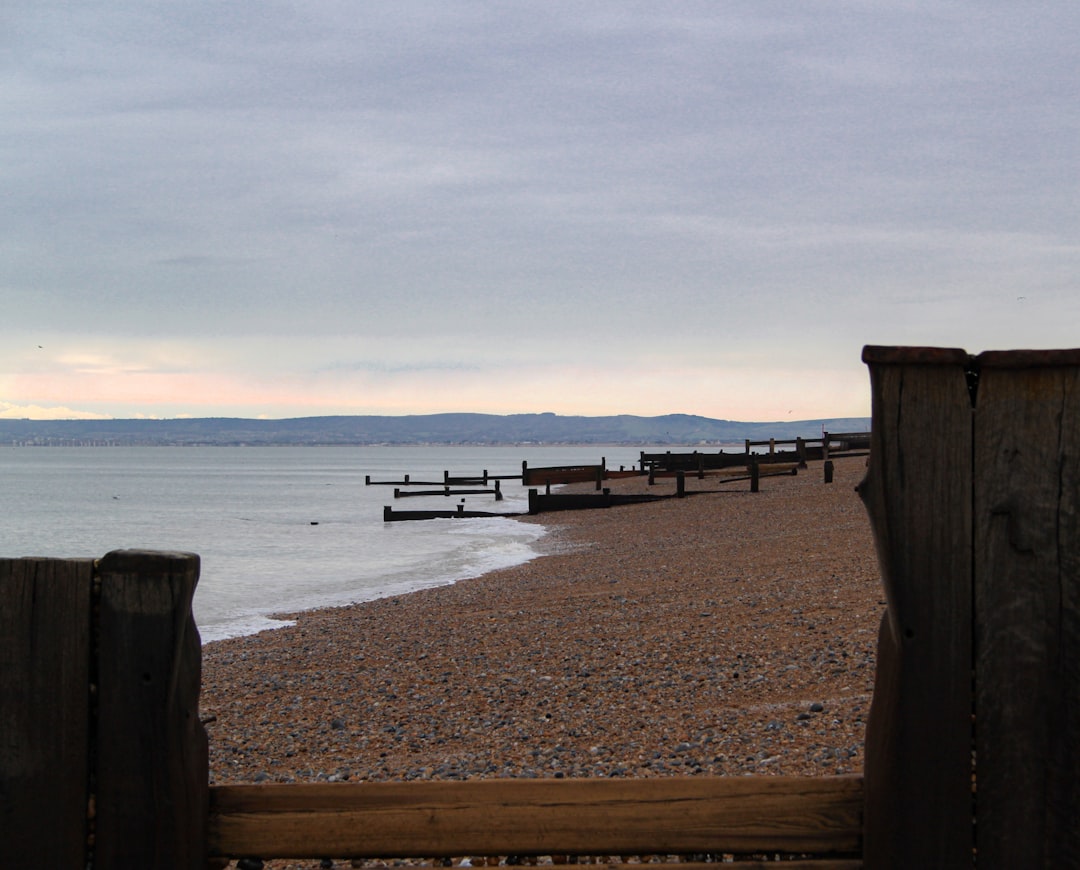 brown wooden fence on beach during daytime