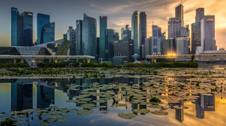 high rise buildings near body of water during daytime