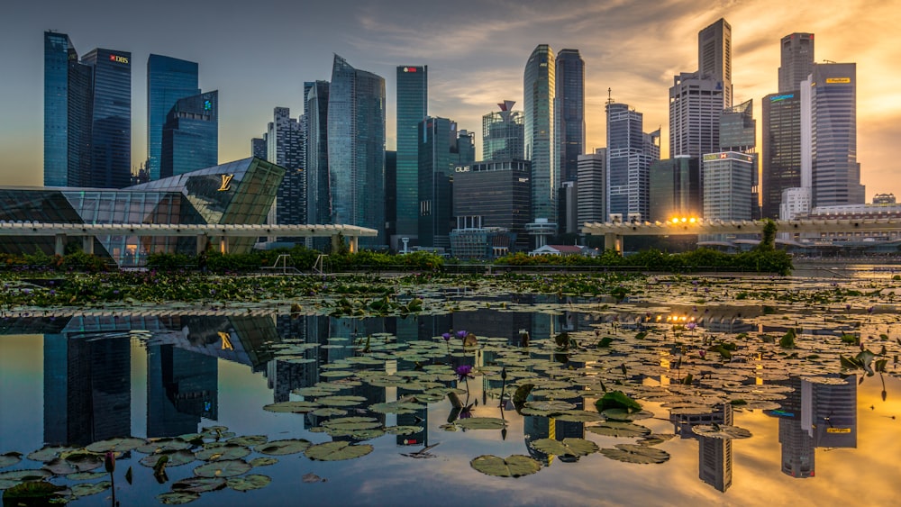 high rise buildings near body of water during daytime