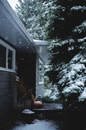 A snow-covered garden scene with pine trees and a house exterior. The house has grey siding and a sloped roof with visible windows. Snowfall is gentle, with a thin layer of snow accumulating on the ground and roof. There is a porch area with a pumpkin and a lantern, suggesting an autumn-to-winter transition.