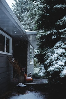 A snow-covered garden scene with pine trees and a house exterior. The house has grey siding and a sloped roof with visible windows. Snowfall is gentle, with a thin layer of snow accumulating on the ground and roof. There is a porch area with a pumpkin and a lantern, suggesting an autumn-to-winter transition.
