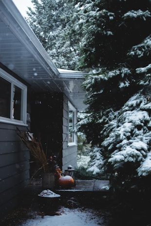 A snow-covered garden scene with pine trees and a house exterior. The house has grey siding and a sloped roof with visible windows. Snowfall is gentle, with a thin layer of snow accumulating on the ground and roof. There is a porch area with a pumpkin and a lantern, suggesting an autumn-to-winter transition.