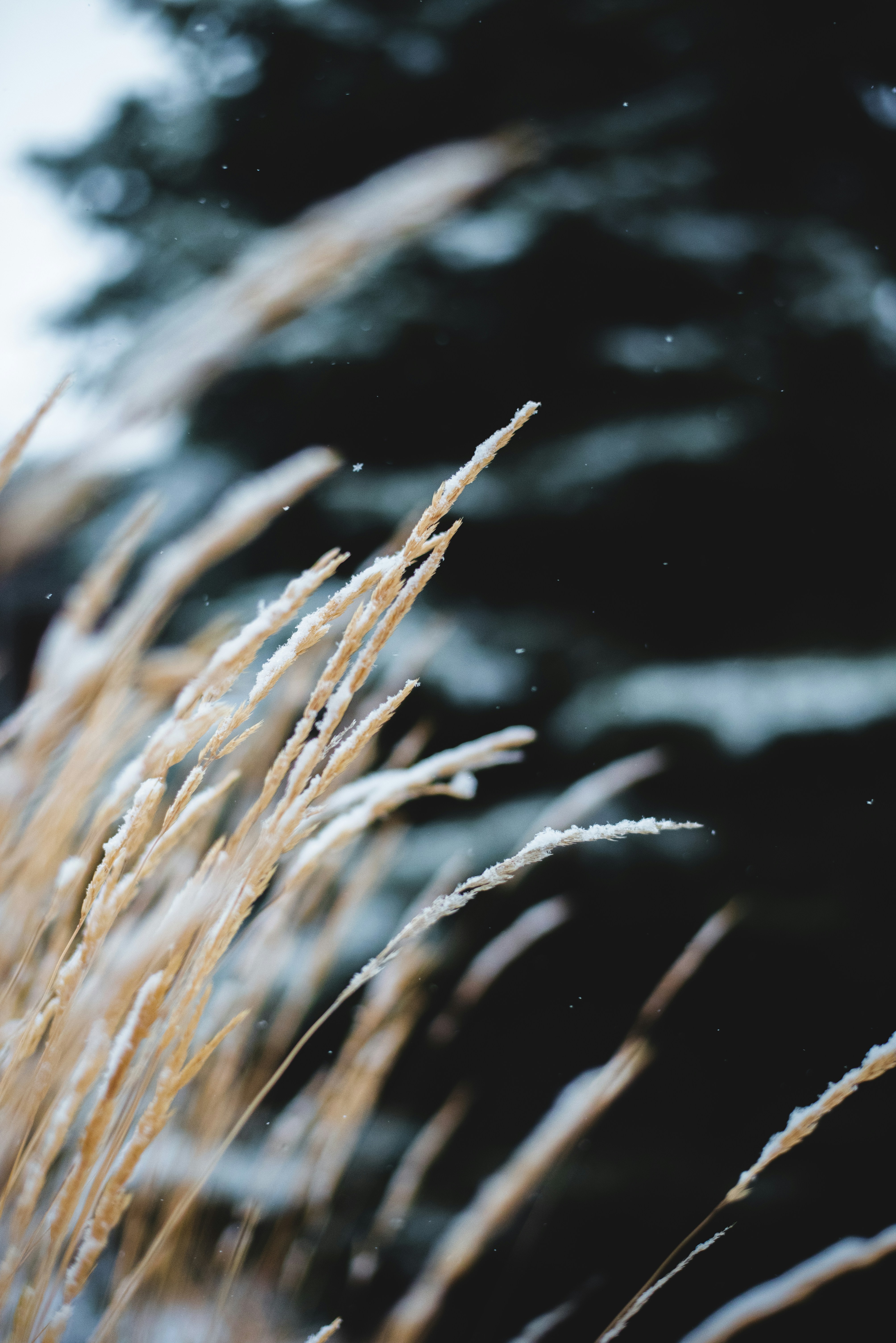 Photo by ryunosuke_kikuno