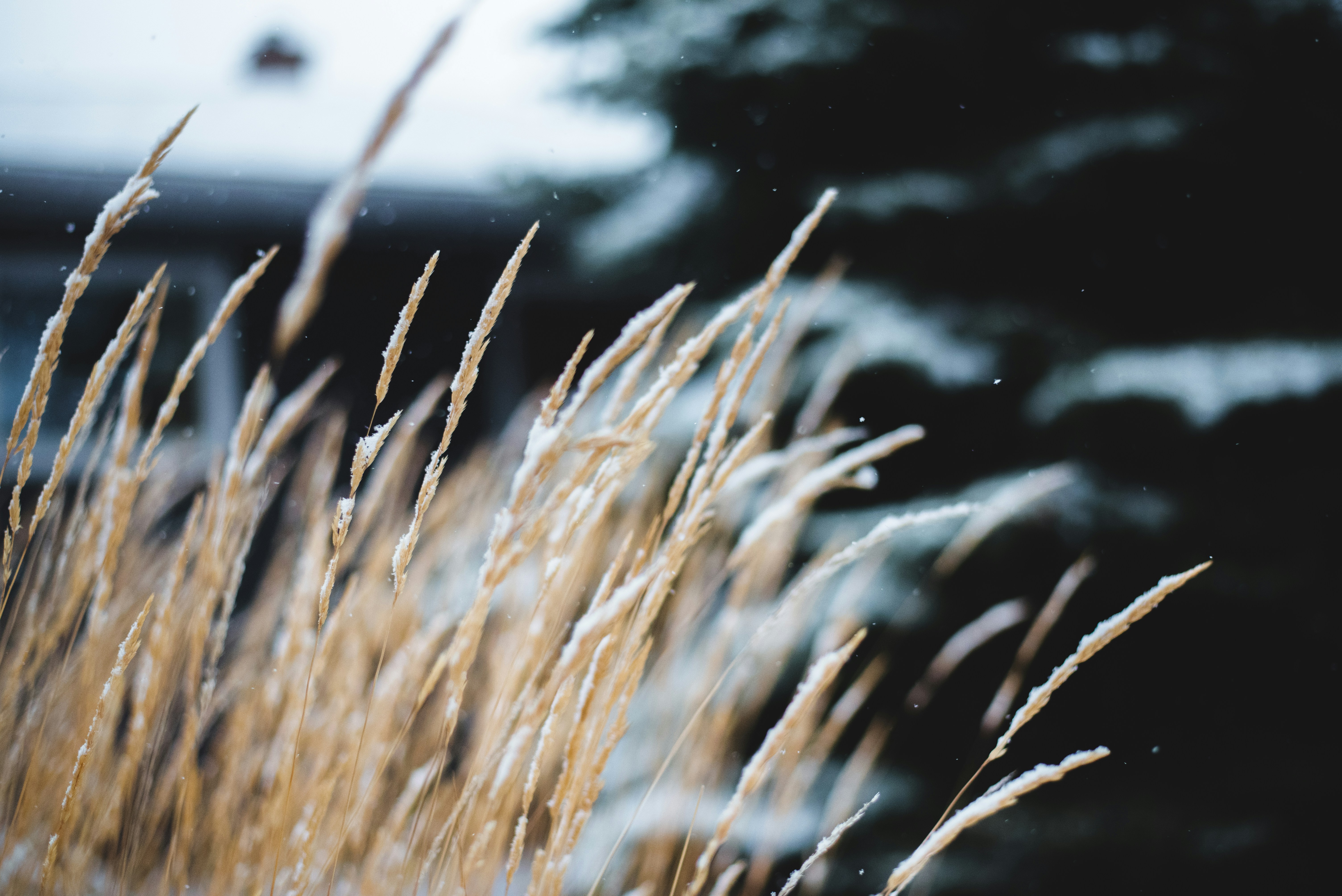 Photo by ryunosuke_kikuno