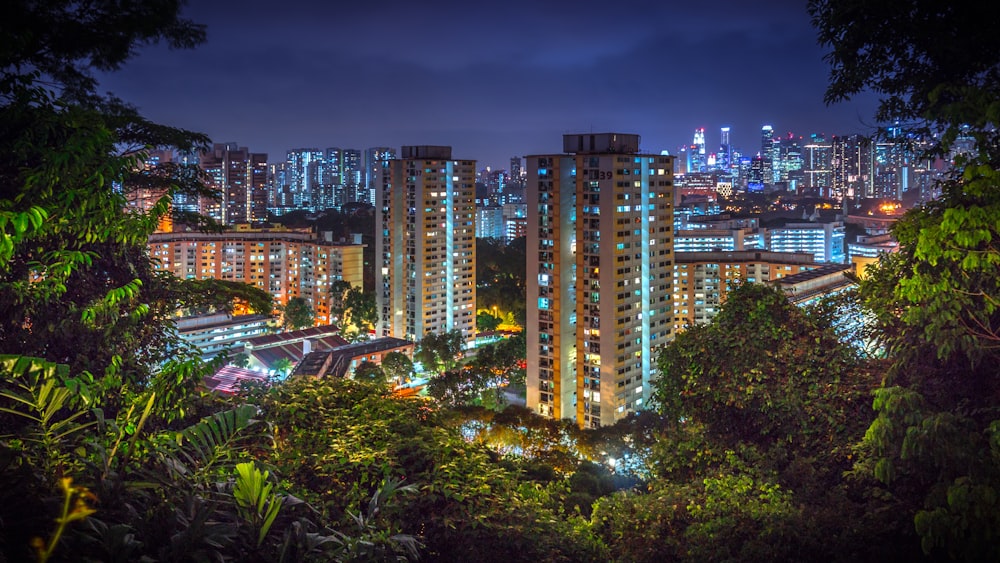 Horizonte de la ciudad durante la noche