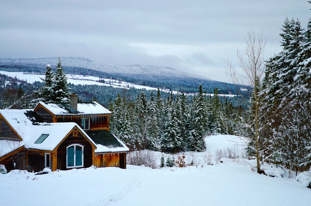 Casa de madera marrón en un suelo cubierto de nieve cerca de los árboles durante el día