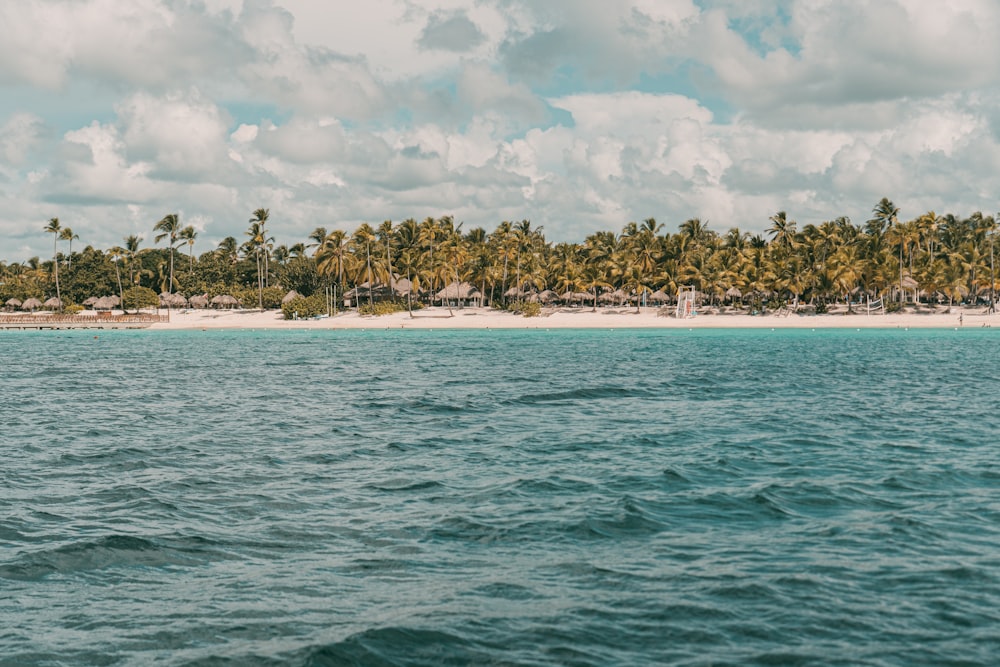 green trees on island surrounded by water under white clouds during daytime