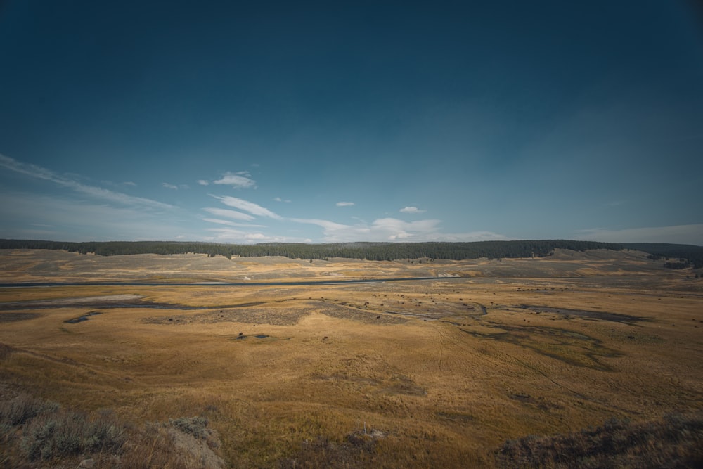 brown field under blue sky during daytime