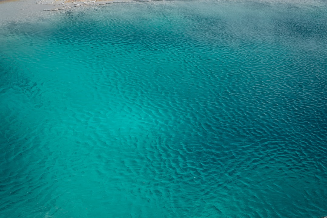 body of water during daytime