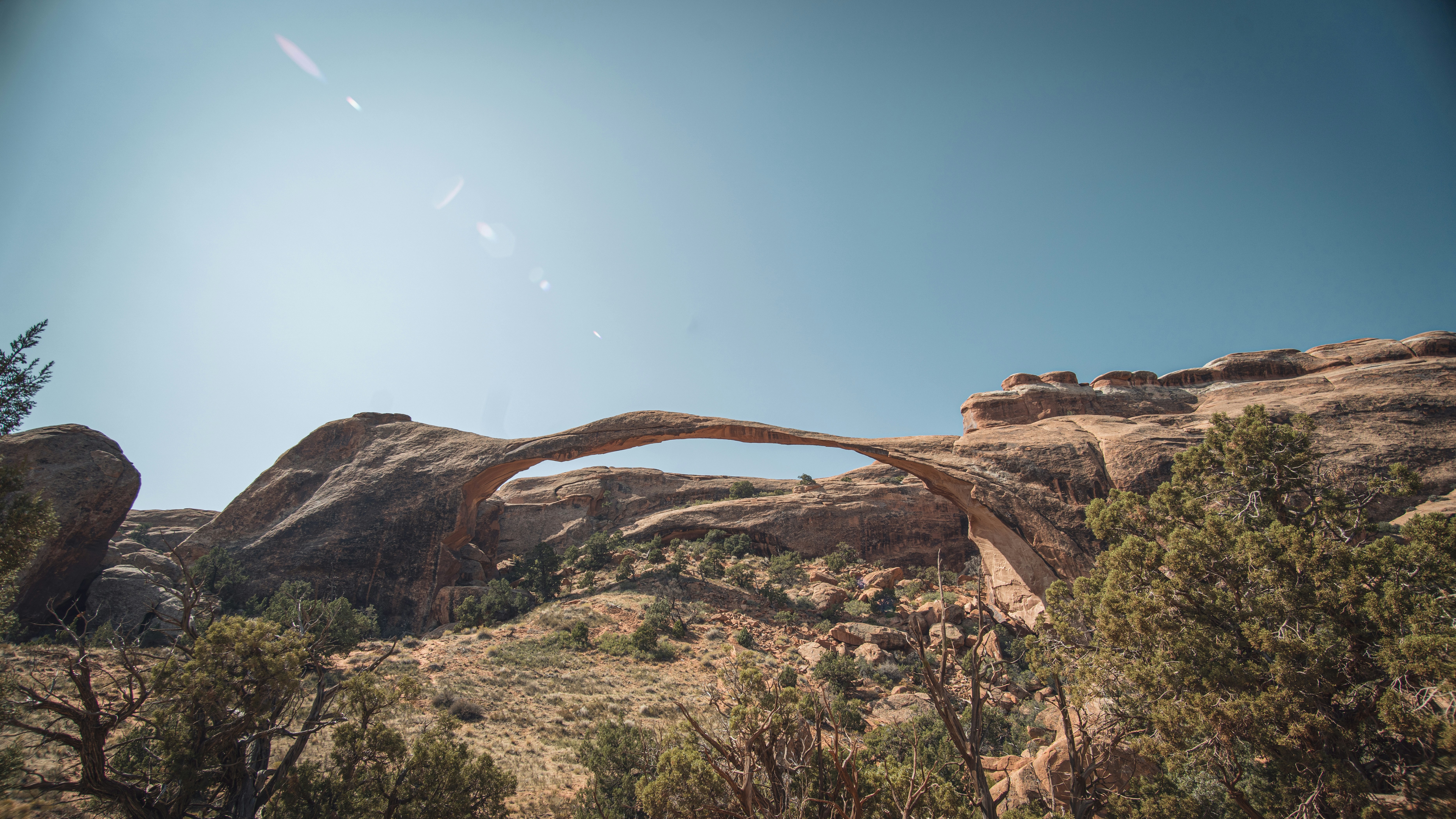 Photo by lauraintacoma