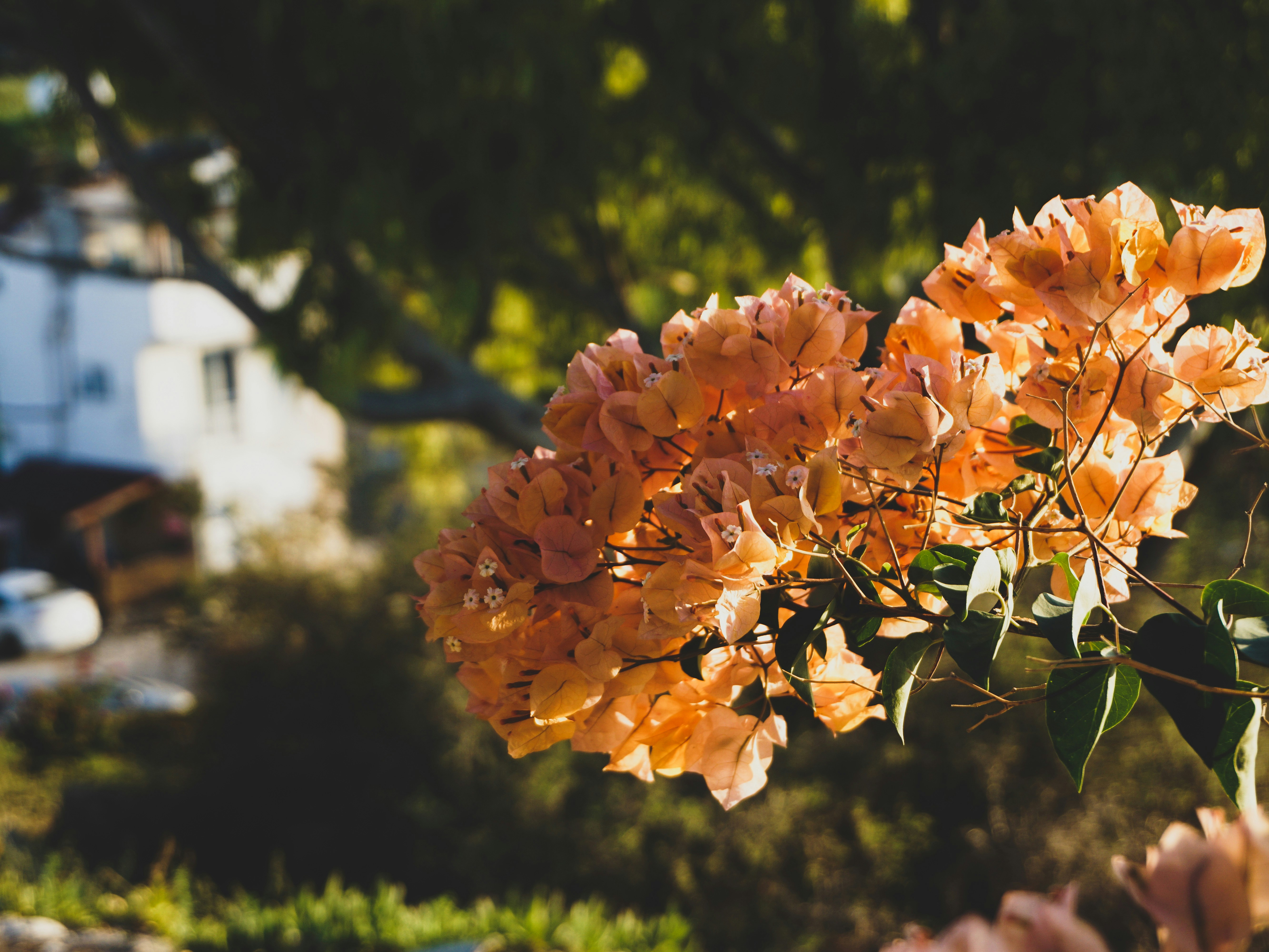 Photo by curiouscaptures