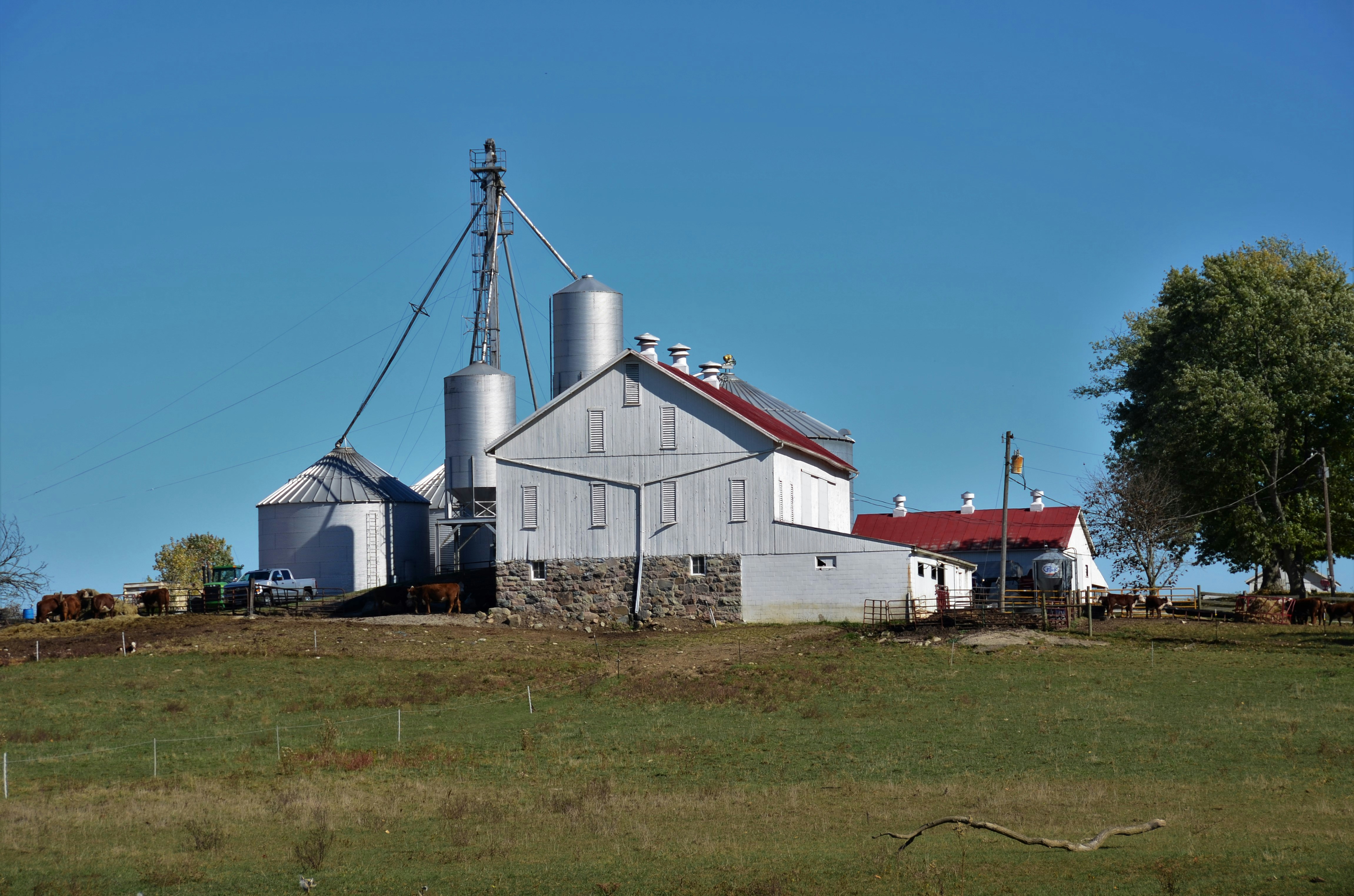 white and red house near green grass field during daytime
