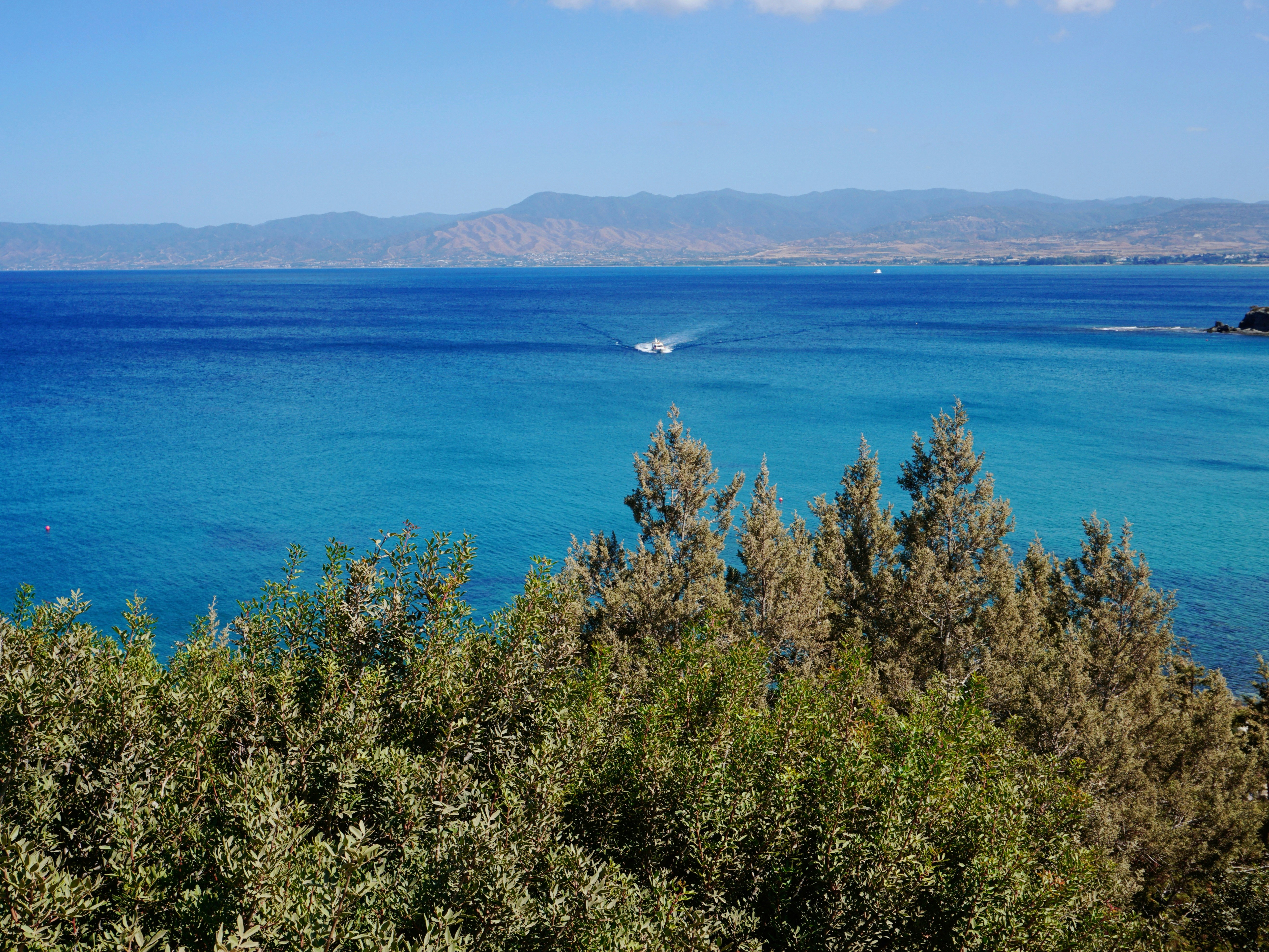 Photo by curiouscaptures