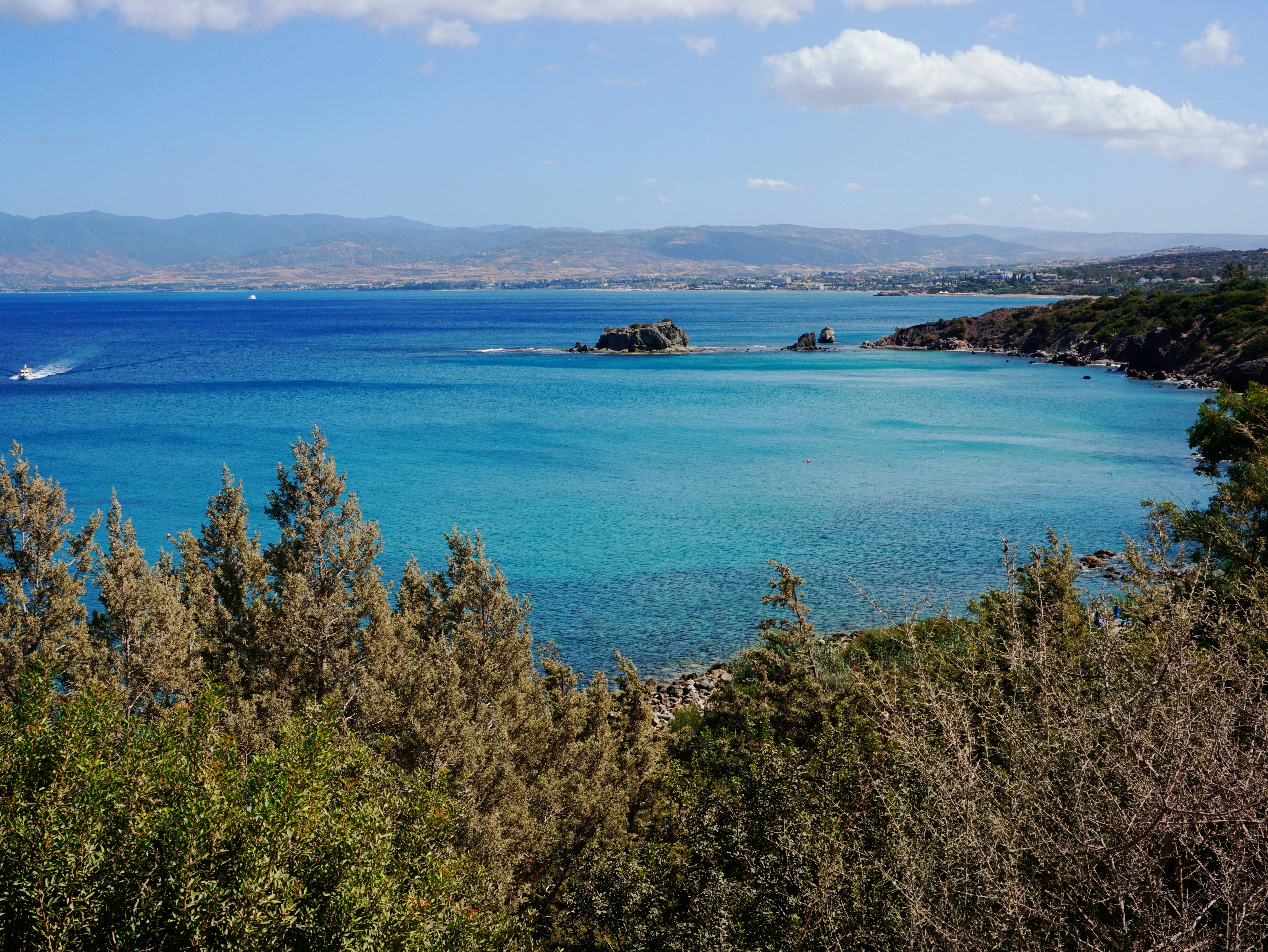 Photo by curiouscaptures