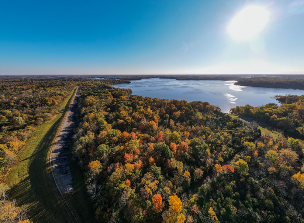 arbres verts et jaunes près du plan d’eau pendant la journée