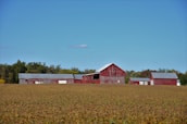 Family working together on the farm beside a classic red barn.