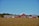 A series of red barns with gray roofs are situated on a farm landscape surrounded by an open field. The field appears to be filled with crops, and there's a line of trees in the background under a clear blue sky.