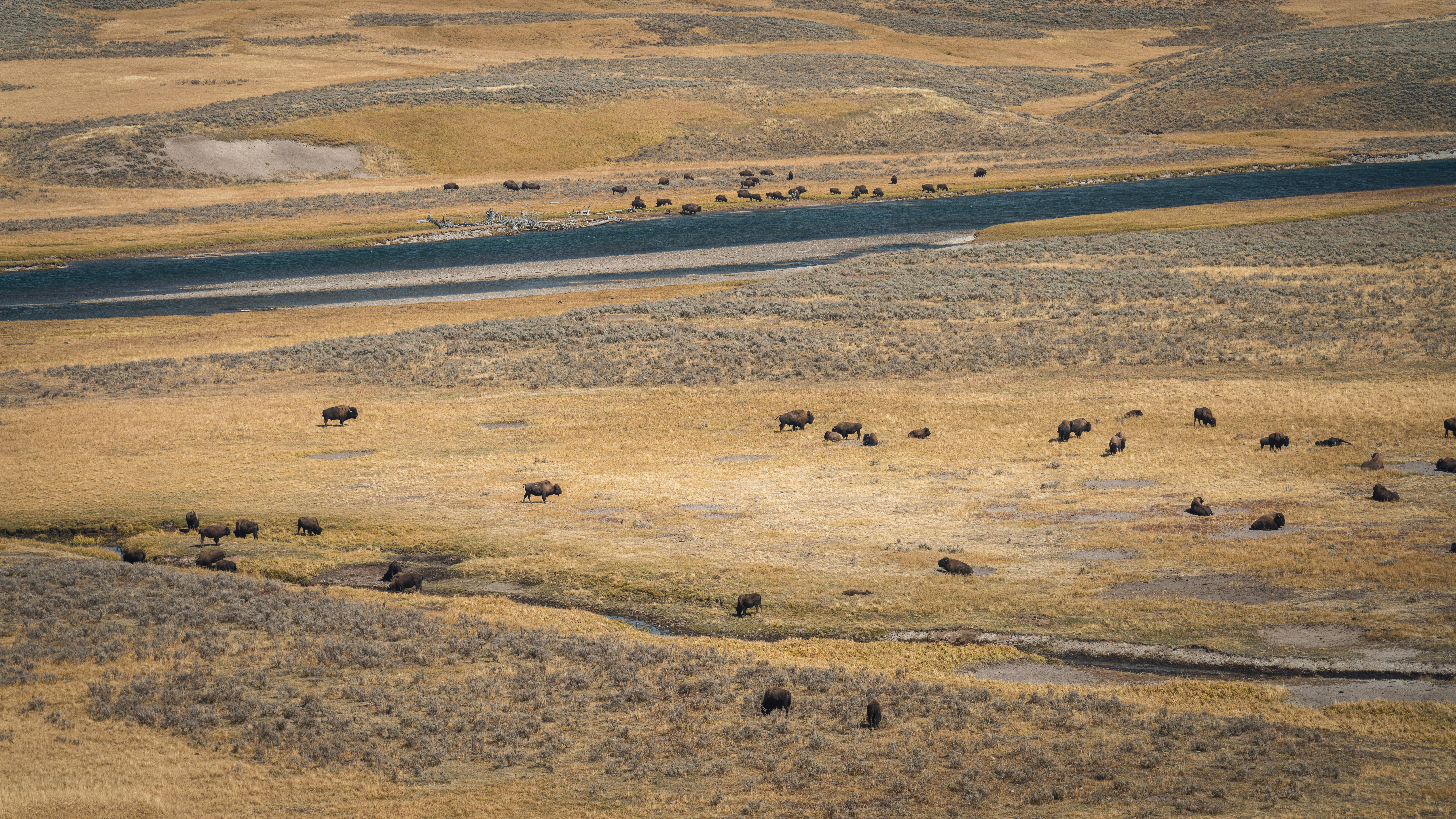 Photo by lauraintacoma