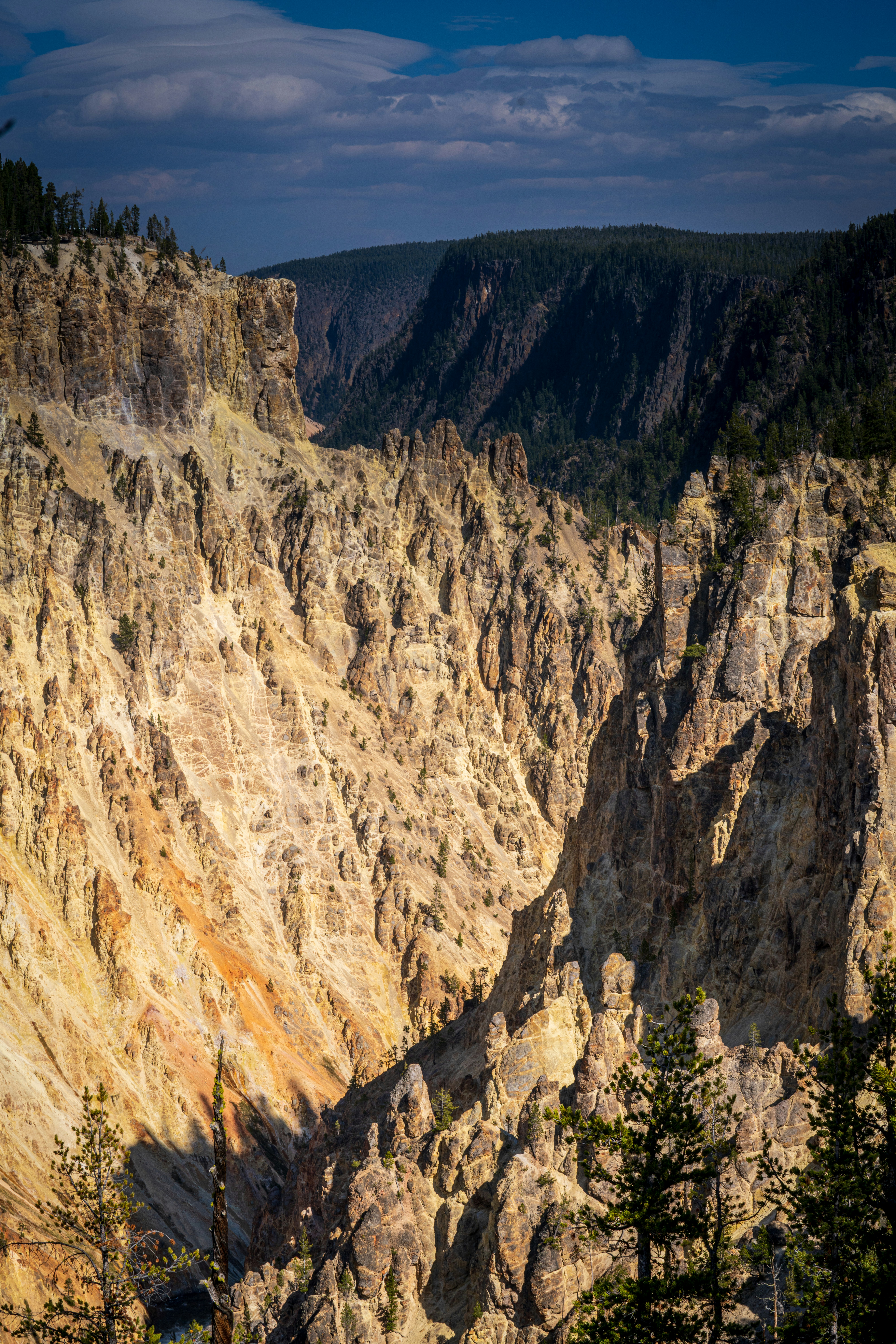 Photo by lauraintacoma