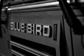 Close-up shot of the metallic letters spelling out 'BLUE BIRD' on a vehicle, with sharp focus on the textured surface of the letters. The background and surrounding area have a soft blur, adding depth to the image.