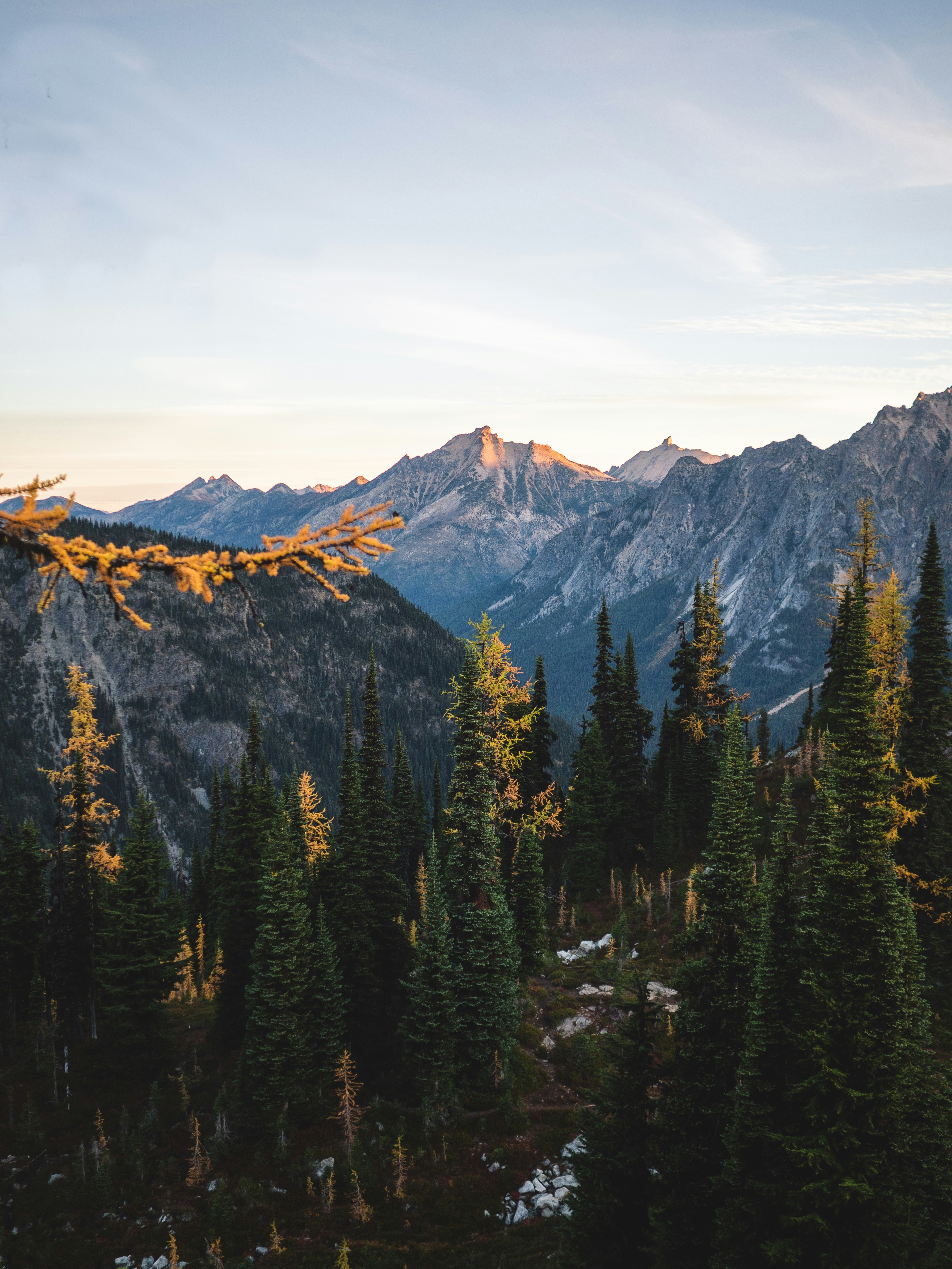 Photo by samsun_shine