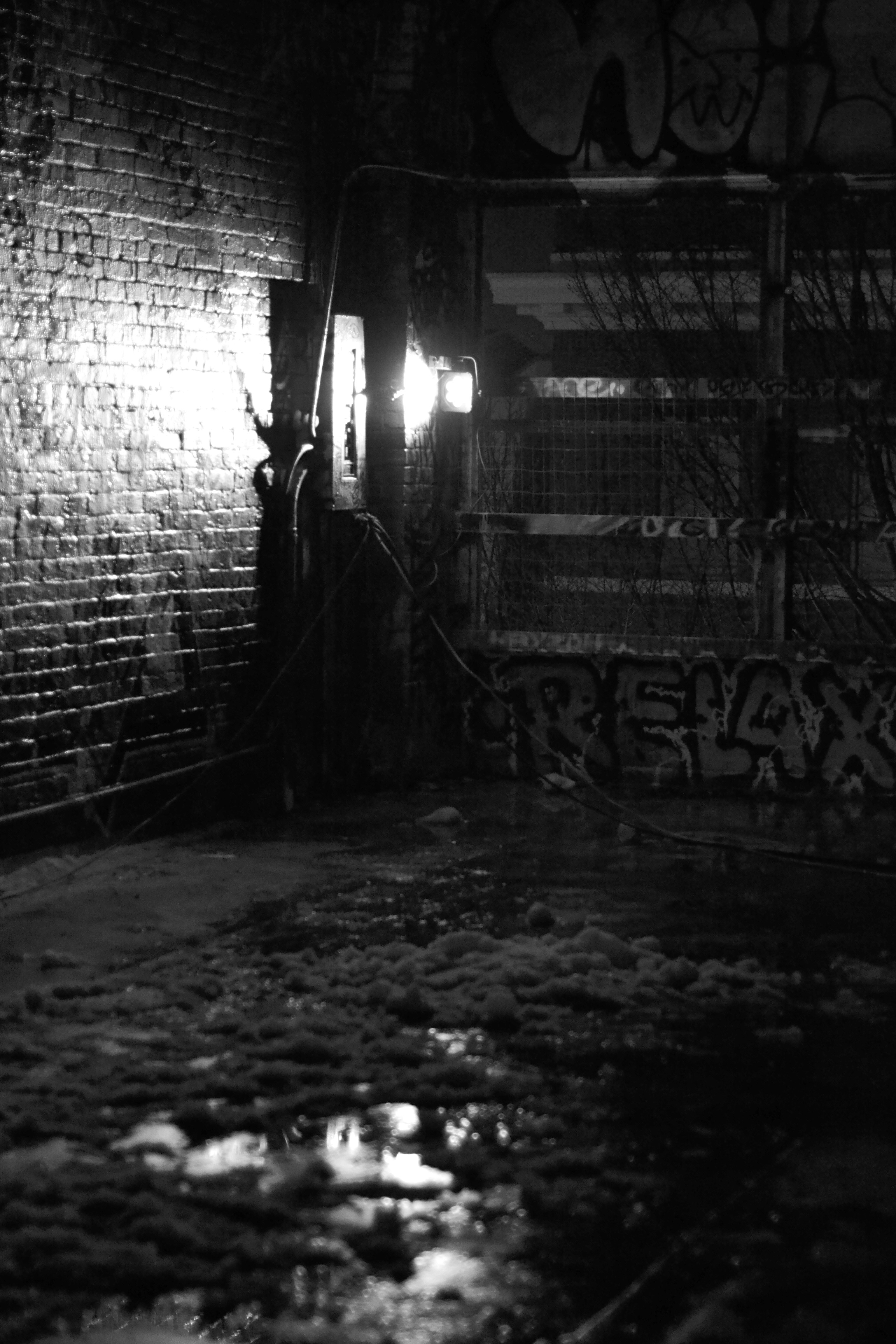 Photo by lauraintacoma