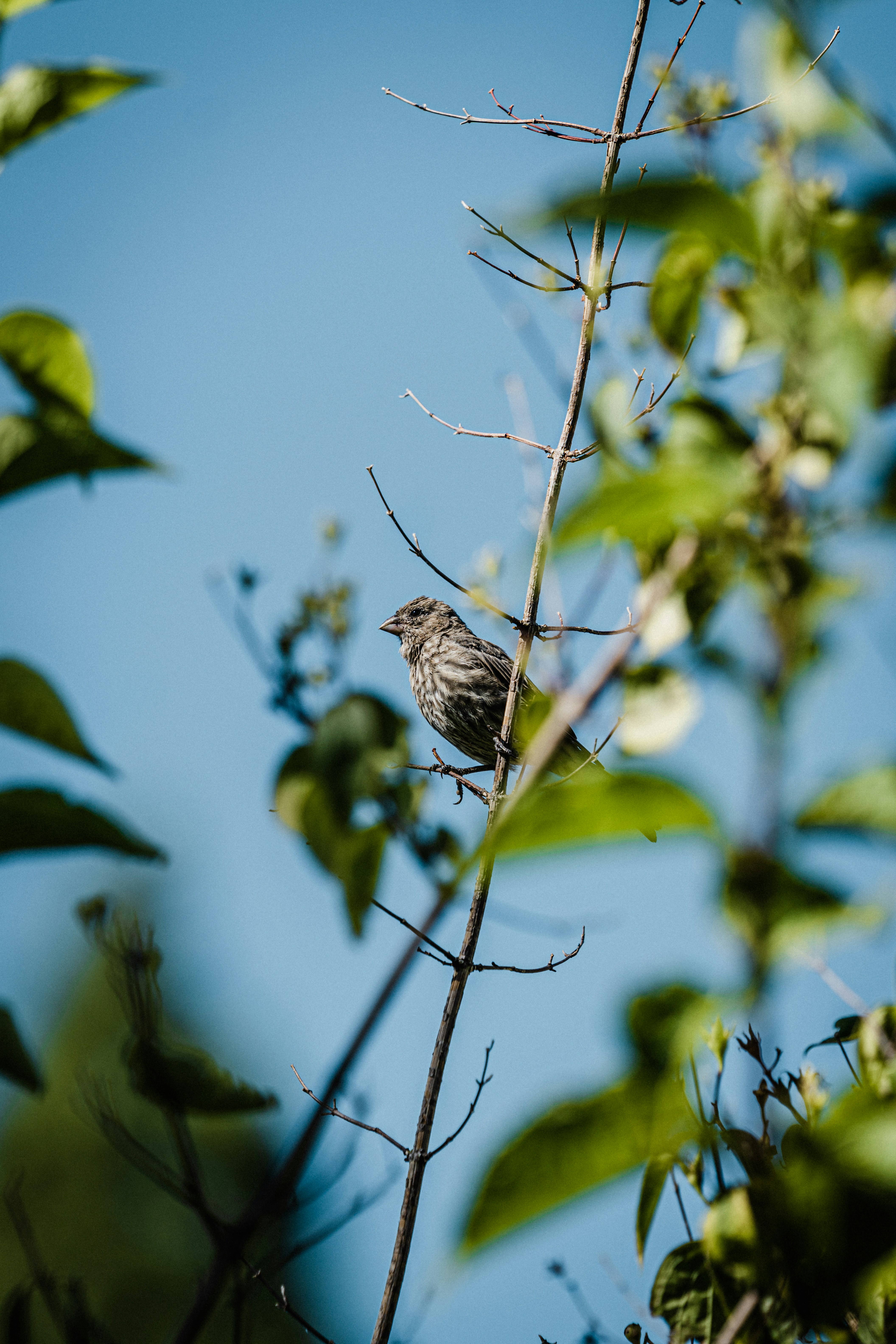 Photo by lauraintacoma