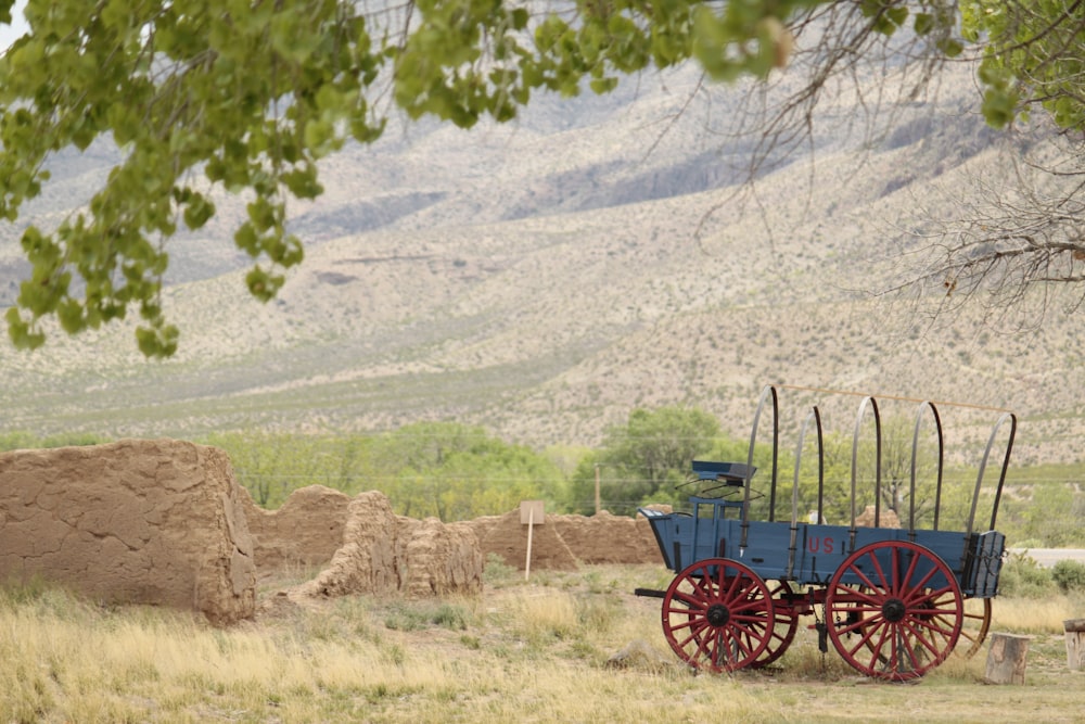 red and black carriage on brown grass field during daytime