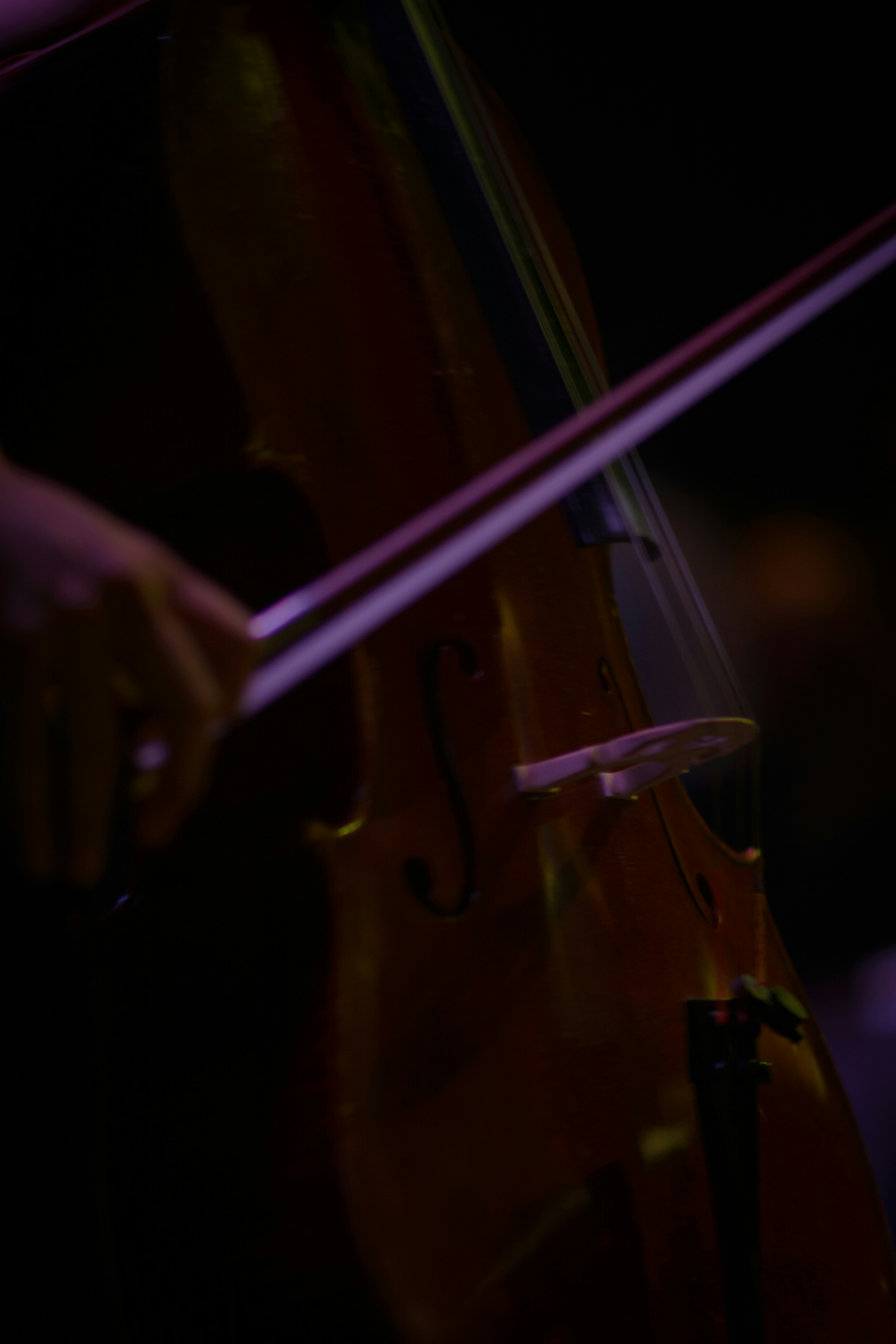 Photo by lauraintacoma