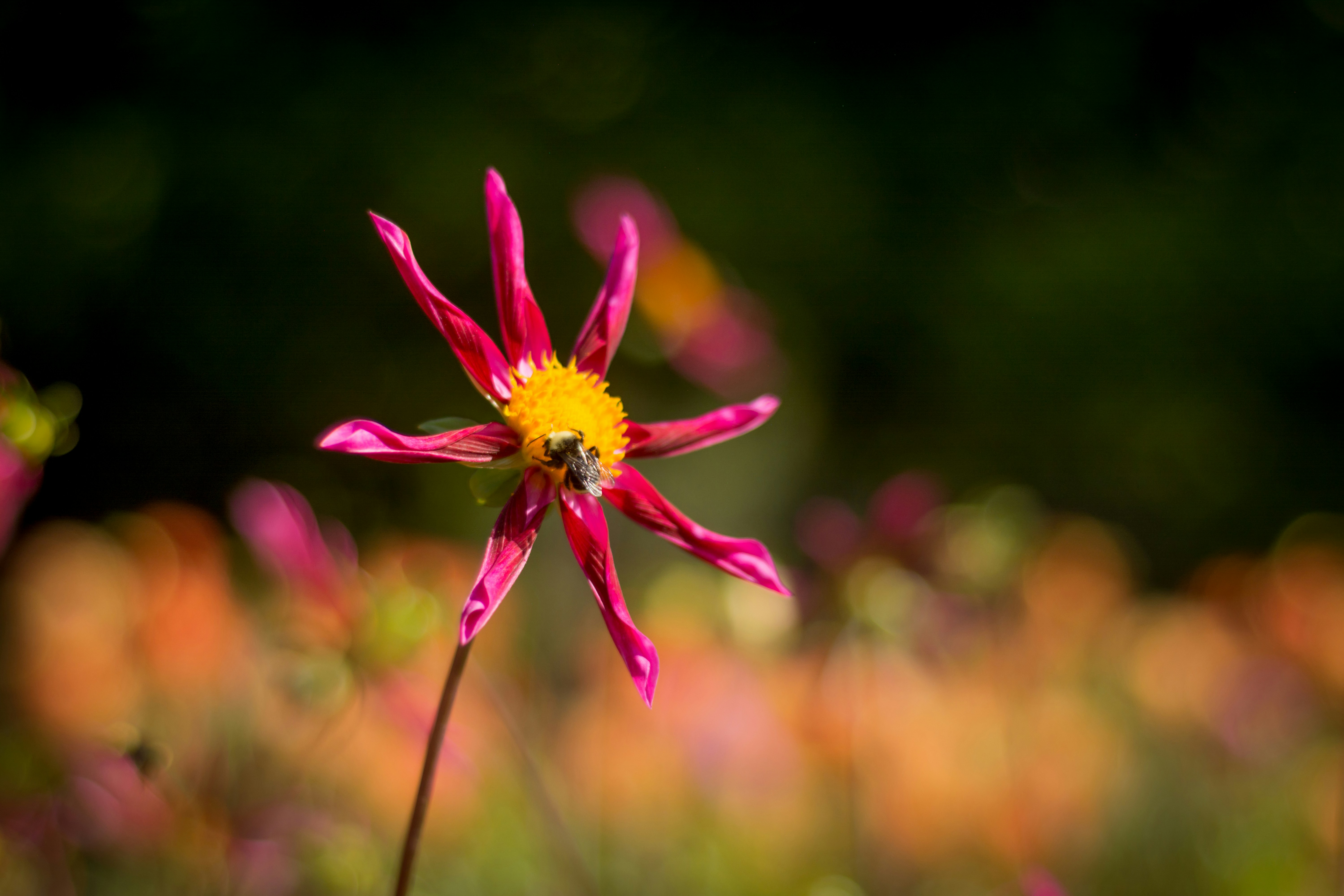 Photo by lauraintacoma