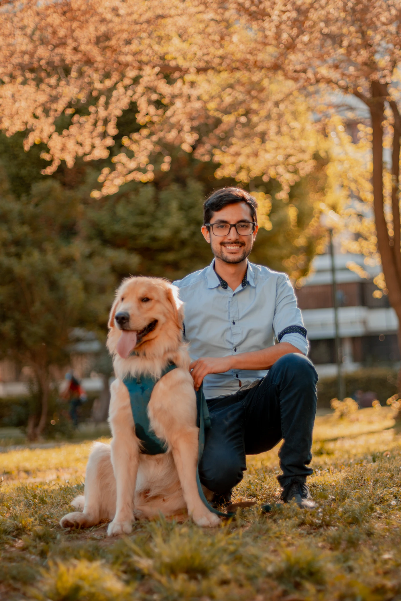 A handler kneeling outdoors beside a calm golden retriever in a working harness, the pair settled side by side
