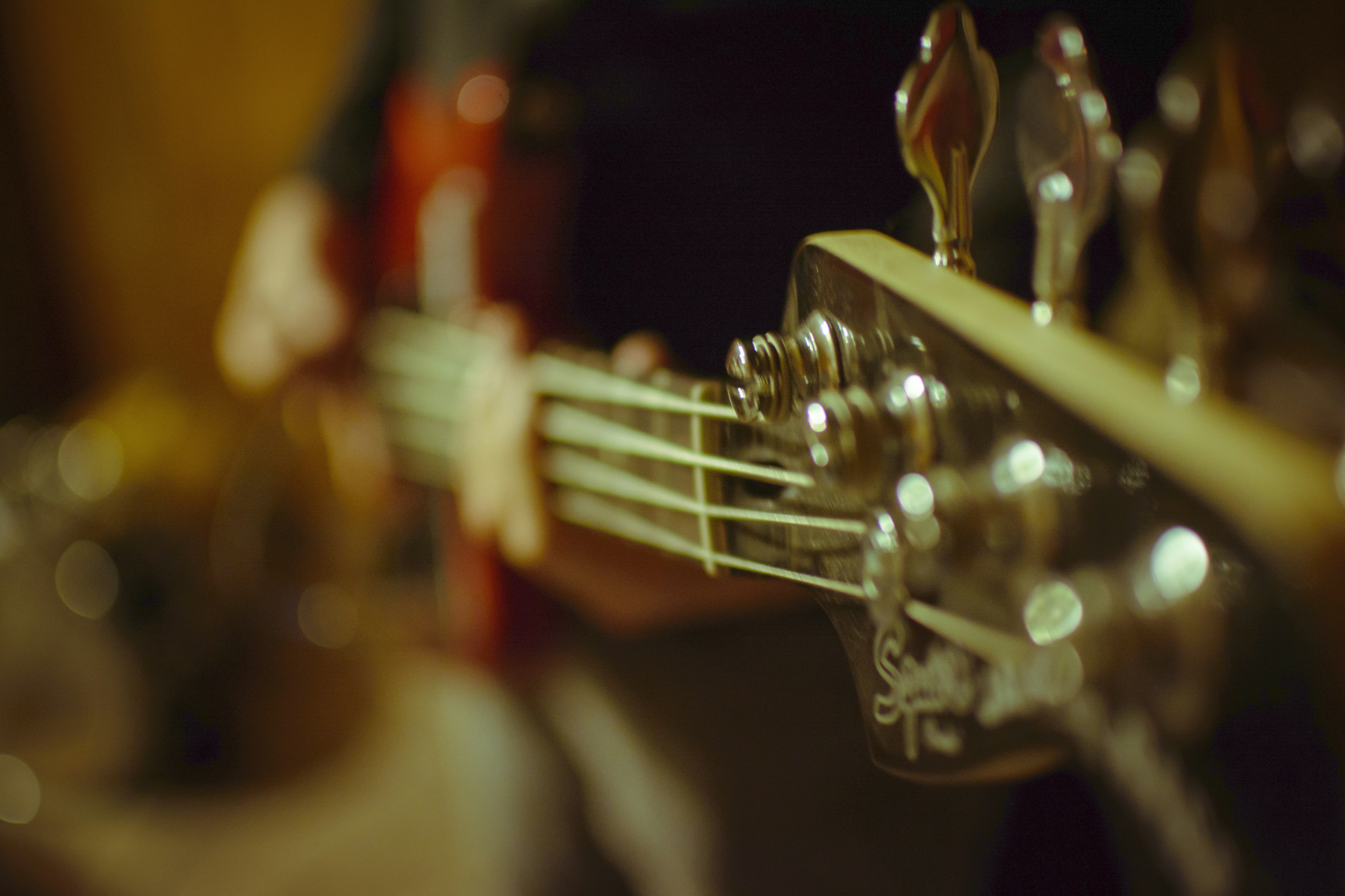 Photo by lauraintacoma