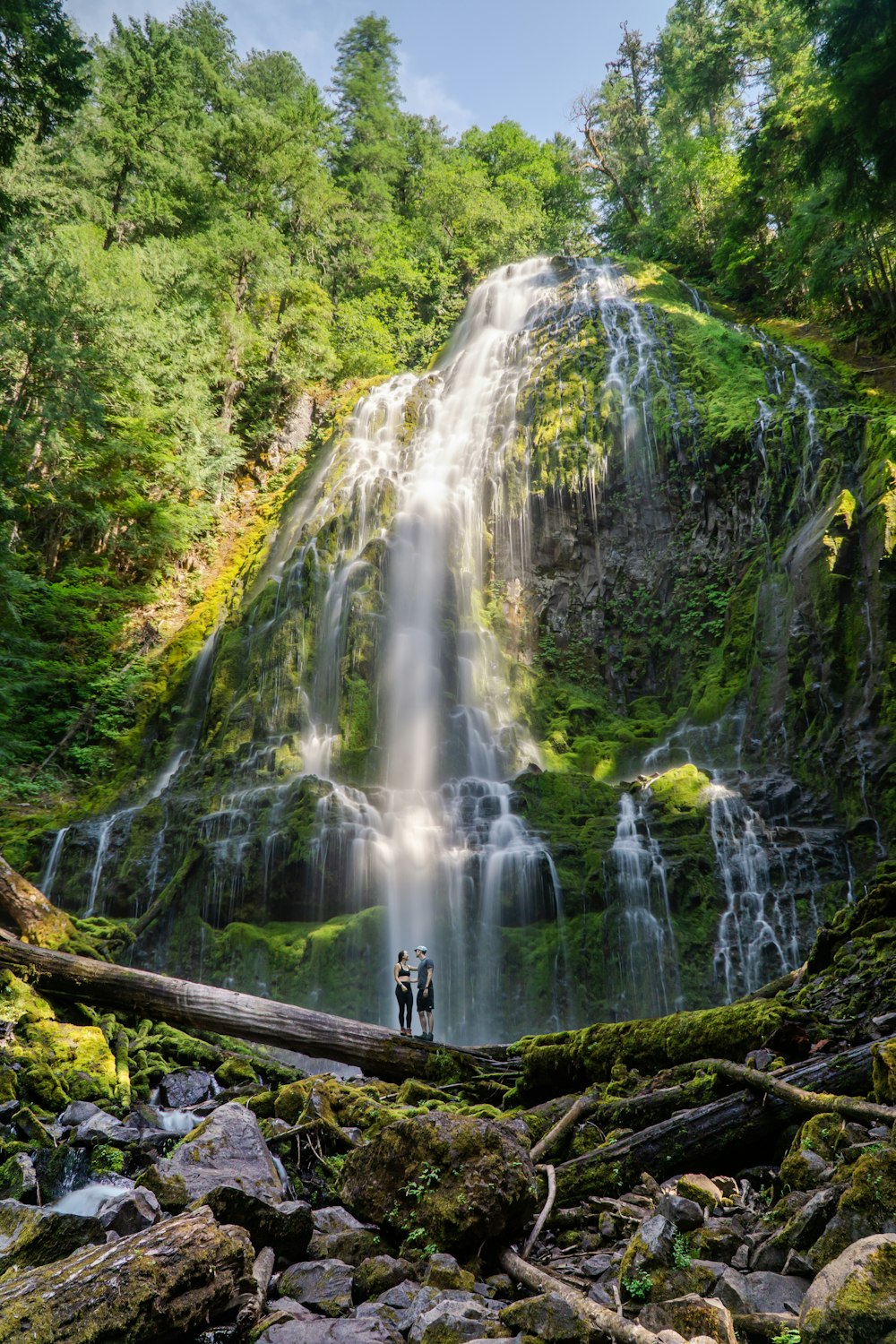 person standing on brown wooden log in front of waterfalls during daytime