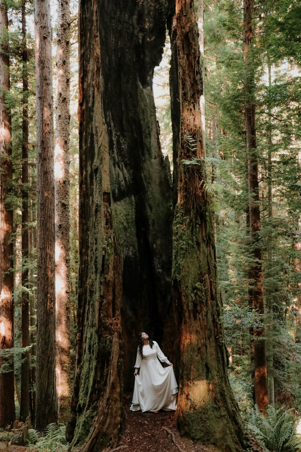 낮 동안 숲 한가운데에 서 있는 흰 재킷을 입은 여자
