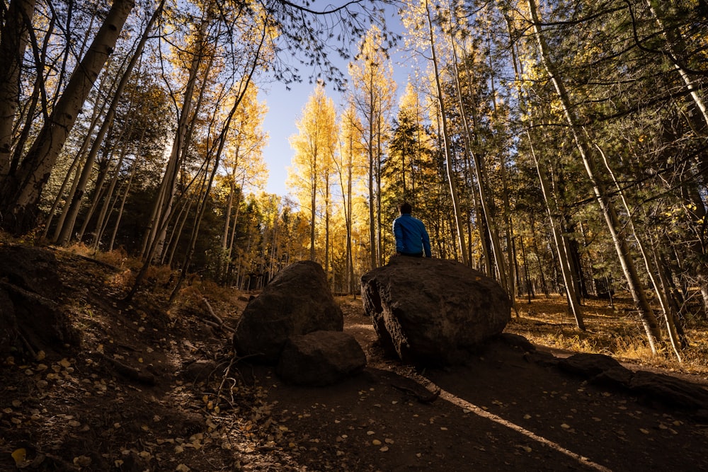 昼間、森の真ん中にある茶色の岩の上に座っている青いジャケットを着た人