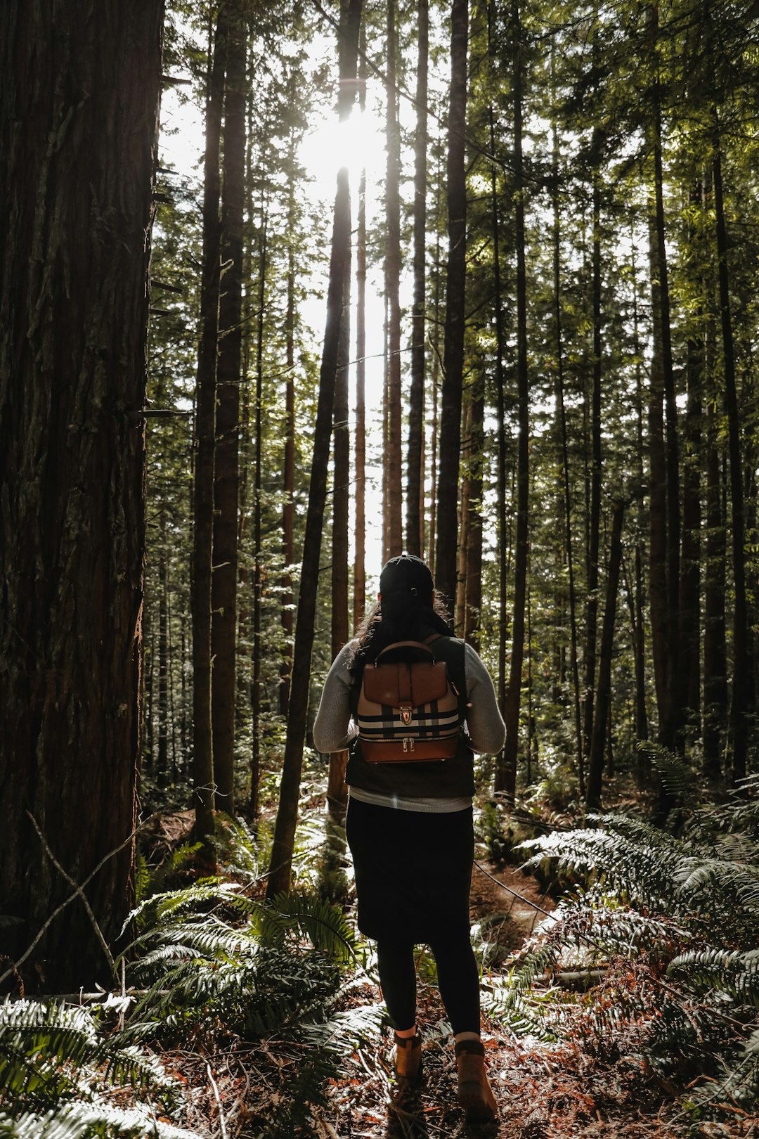 woman in black and orange backpack standing in the woods during daytime